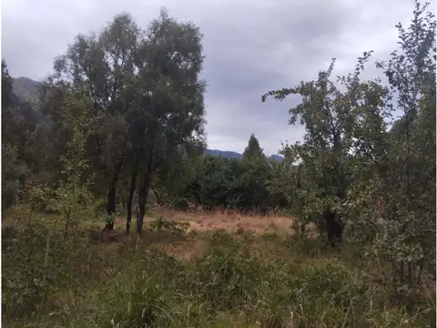 Terreno en Venta 39  mts Fondo