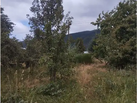 Terreno en Venta 12  mts Frente