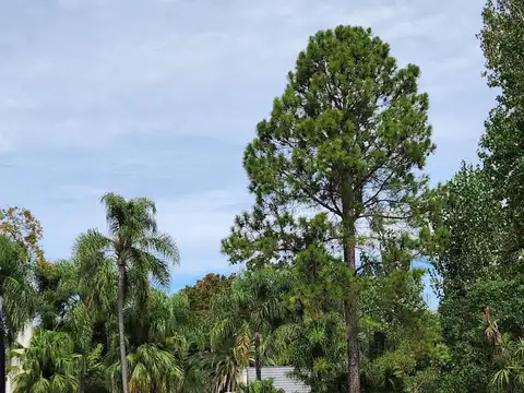 Terreno en venta - Lomas de San Isidro - Lomas Golf