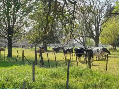 Campo en Venta de 63  ha