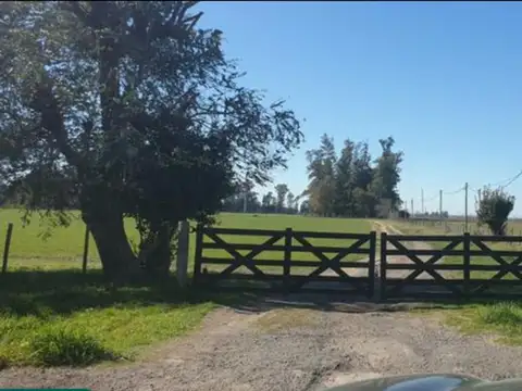 Ruta 24