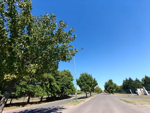 Lote Excelente oportunidad en Pilar del Este