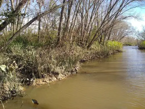 Rio / Arroyo Canal Honda / Arroyo Don Gonzalo 100