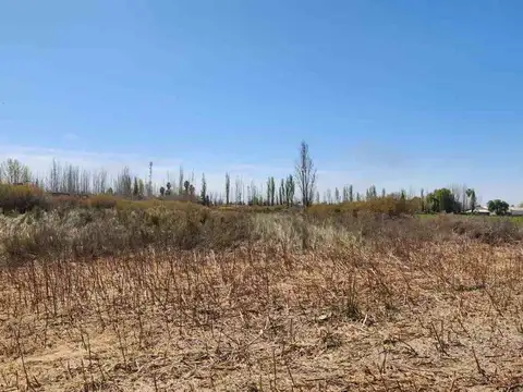 VENTA LOTE CORRALITOS MENDOZA