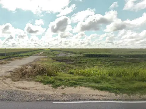 Campo de 29,9 Has para cultivos extensivos con alto potencial en zona núcleo