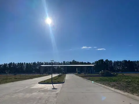 JUANA DE ARCO  al 5500