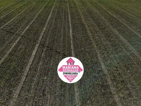 Campo en Venta - Baradero