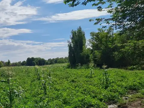 OPORTUNIDAD! HERMOSA FINCA EN VENTA EN SAN CARLOS