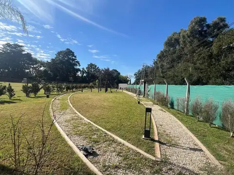 Atardeceres Del Talar