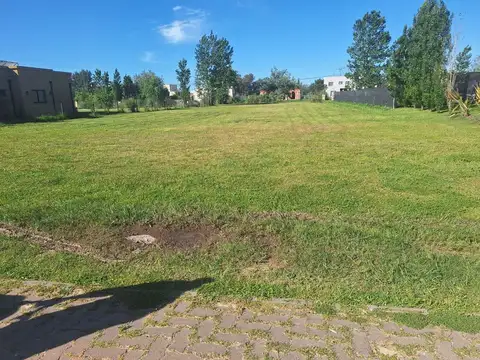 LOTE EN VENTA - LOMAS DE PETION - CAÑUELAS