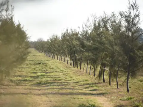 Terreno en Venta en Funes, $ 59.000