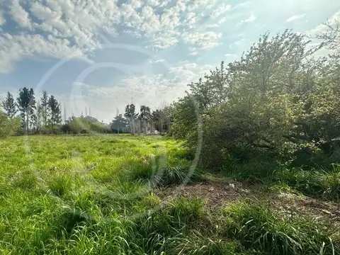 VENTA TERRENO PARQUE LA VERDAD EXALTACION DE LA CRUZ 2960 m2