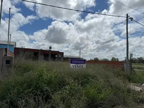 Quinta - Venta - Argentina, Lobos