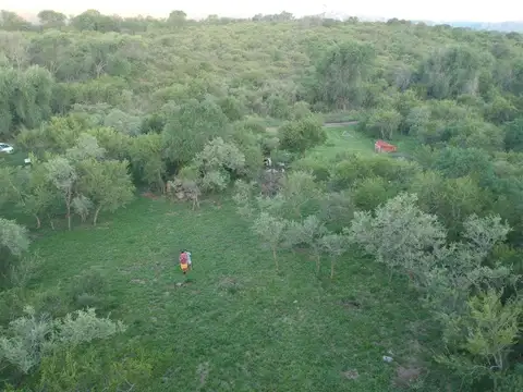 Terreno en Venta en Santa Mónica, Calamuchita