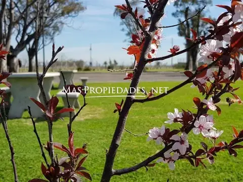 Terreno en Venta 40  mts Frente
