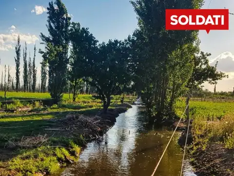 Finca en venta 30 Hectáreas Ruta 160 La Llave San Rafael Mendoza
