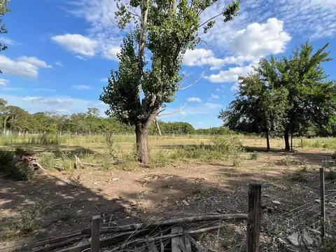 Ruta Nacional 5