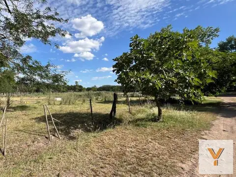 Ruta Nacional 5