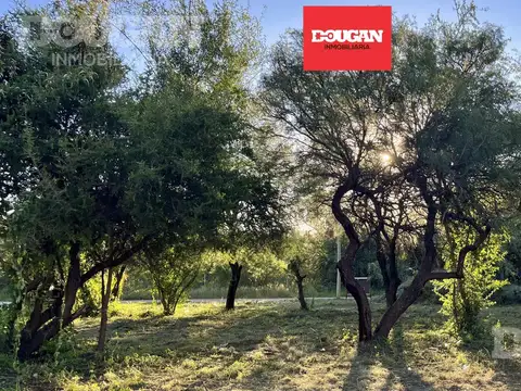 Terreno a la venta en merlo san luis
