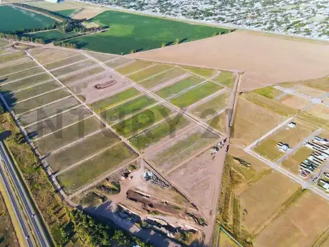 Venta Lotes en Barrio Cercano – Manzana 7 | Ricardone, Santa Fe