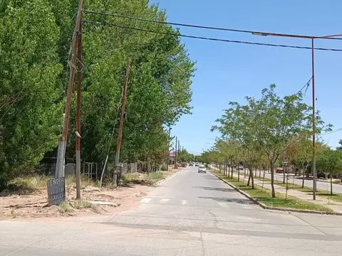 Avenida Schreiber y Av, Mariano Moreno 600