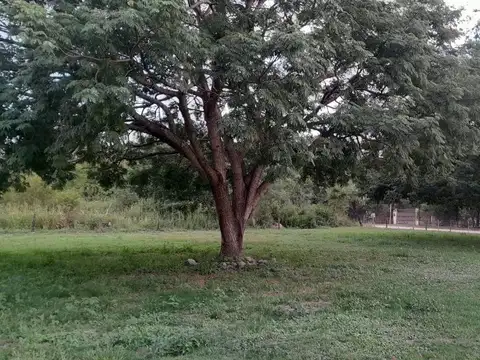 Terreno en Venta de 1375,0 m2