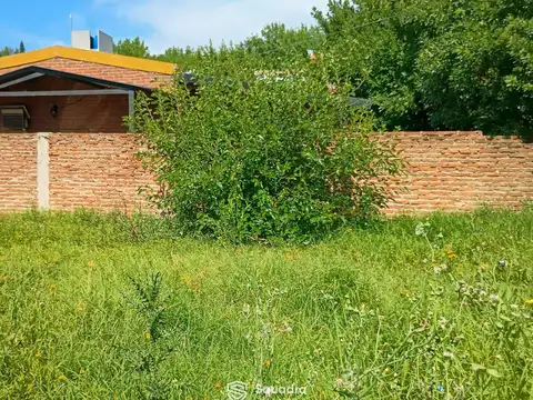 Terreno en Venta de 300,0 m2