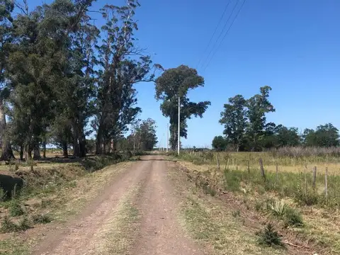 Retasado!Venta Campo 52 Hectareas San Vicente