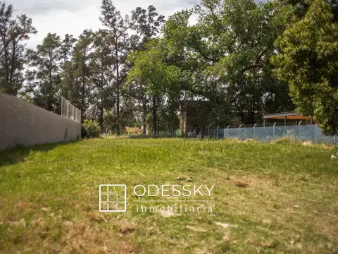 Terreno en Venta 20  mts Frente