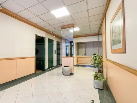 Departamento en Alquiler Permite mascota