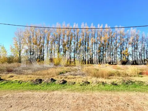 fincas de vista alegre III