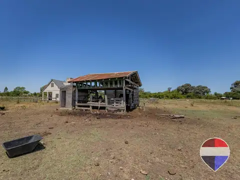 HECTAREAS EN VENTA ARTURO SEGUI LA PLATA
