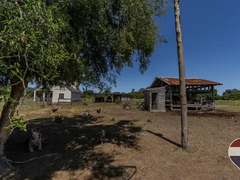 Terreno en Venta en Arturo Segui, USD 320.000