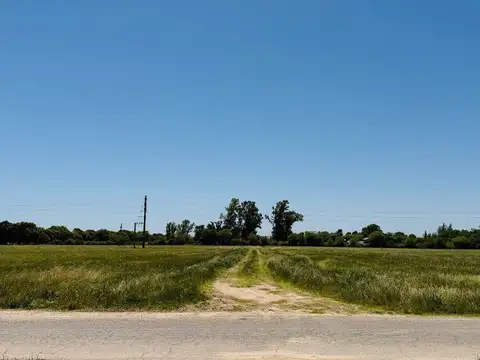 Terreno en Venta de 259,0 m2