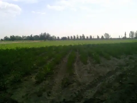 Campo en Venta Agricola