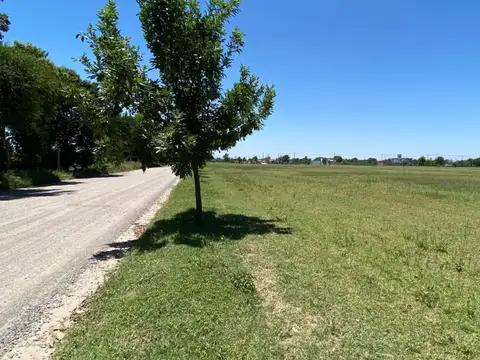Terranostra- Camino San Carlos Km 7½