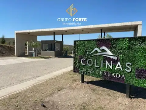 Colinas De La Deseada 100