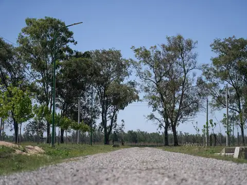 Terreno - Los Pinos 3 - Piñero