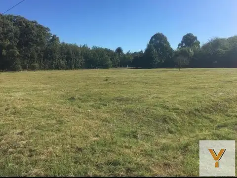 Terreno en venta - 705mts2 - Magdalena
