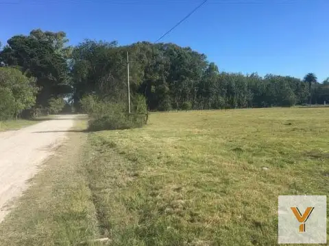 Terreno en Venta de 705,0 m2