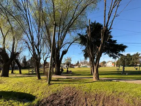 Maquinista Savio (Peru 5038) A REFACCIONAR. 3 viviendas. Lote 600 m2
