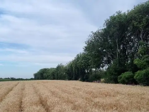 VENTA LOTE CAMINO 60 CUADRAS