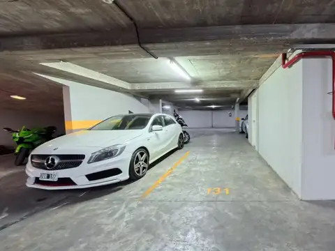 Camacua 300