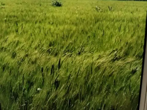 Terreno en Venta 120  mts Fondo