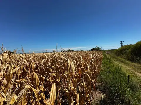 Terreno en Venta en Rosario, Santa Fe