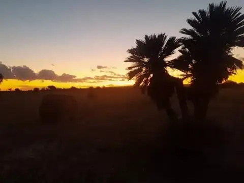 Campo en venta - 193.000Mts2 - Mina Clavero