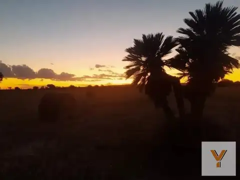 Campo en venta - 193.000Mts2 - Mina Clavero