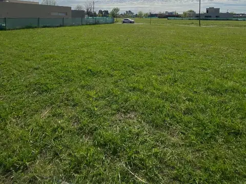 Altos Del Casco