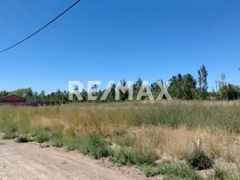 Ruta Provincial 65 y Bahia Blanca