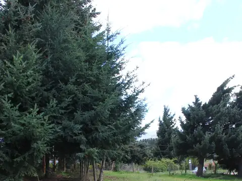 Terreno en Venta de 282,3 m2
